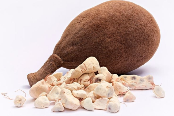 Graine baobab 500g
