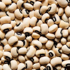 Haricot 500g