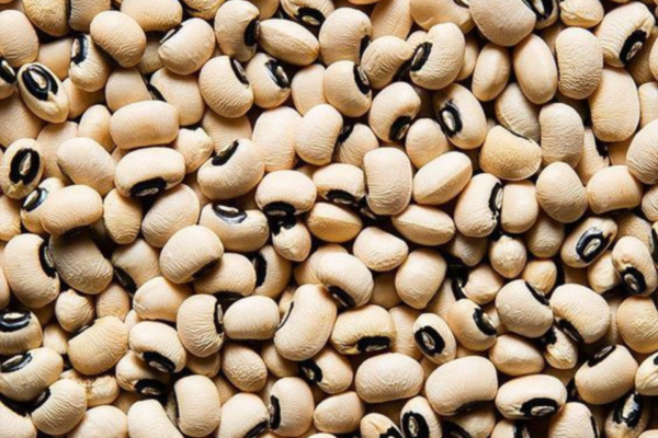 Haricot 500g