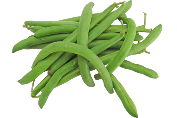 Haricot vert 500g