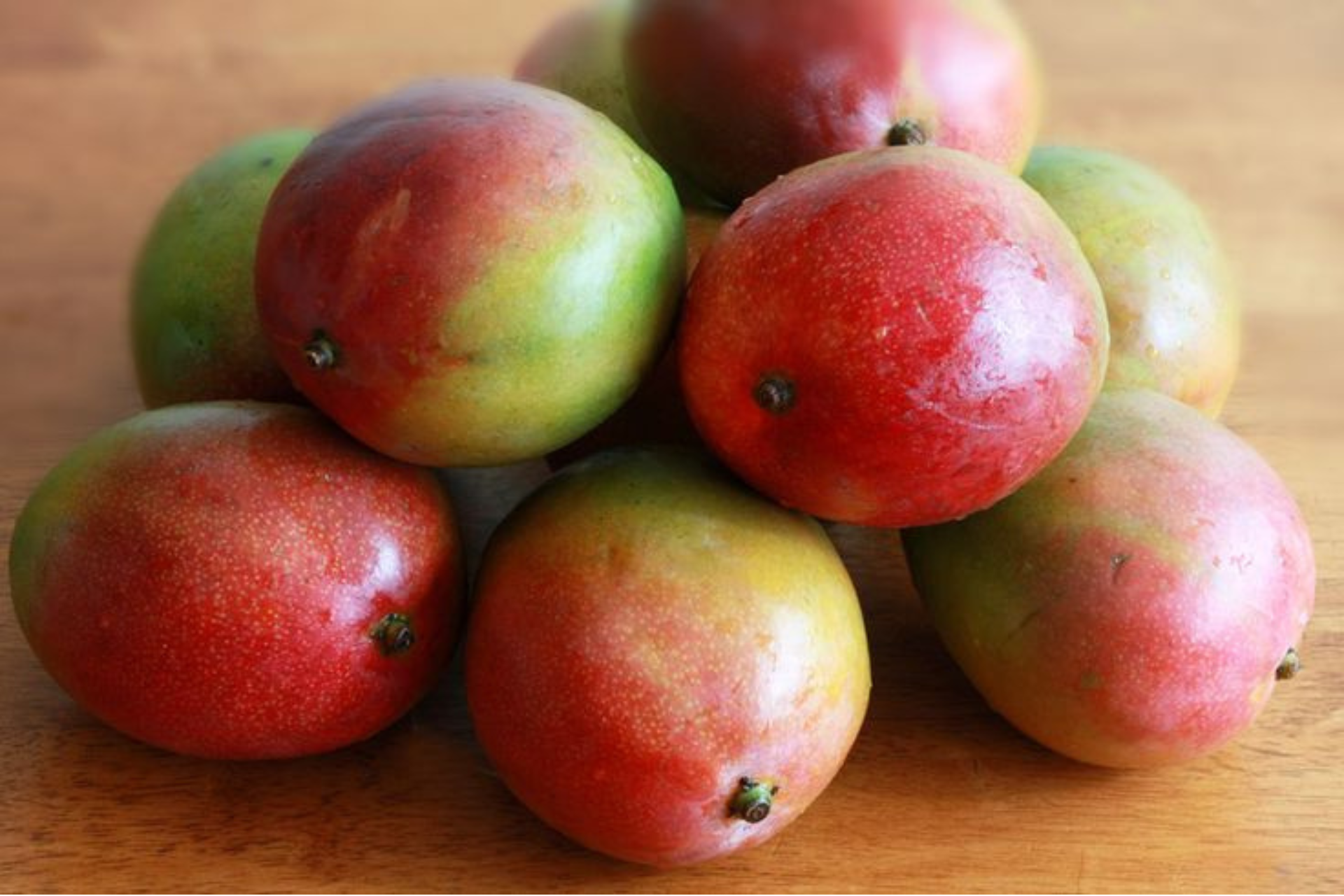 mangue kent pont vert