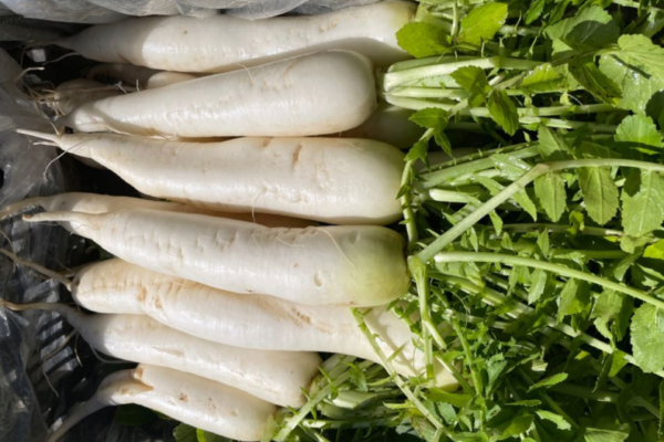 Navet 500g