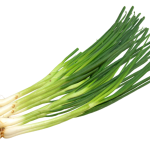Oignon vert 500g