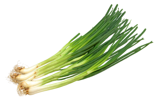 Oignon vert 500g