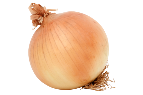 Oignon 500g
