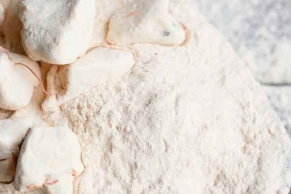 Poudre baobab 500g