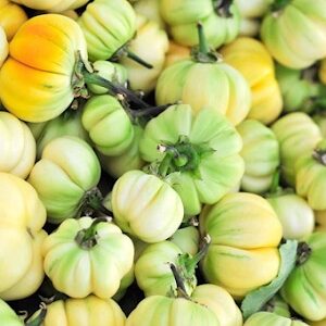 Aubergine amer 500g