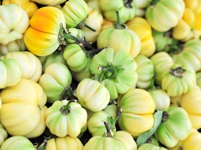 Aubergine amère
