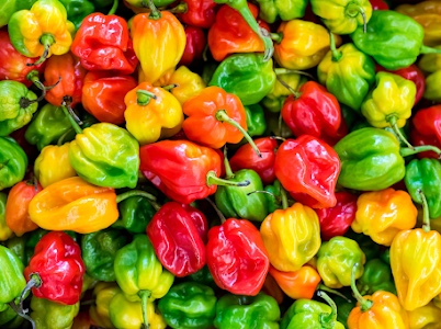 piment