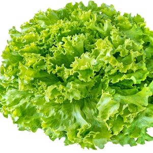 Salade 500g
