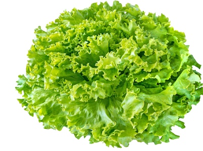 salade